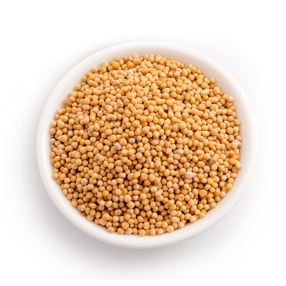 Mustard Seed