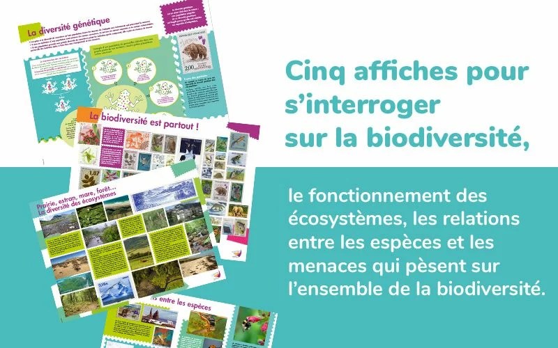 Kit pédagogique"Connaître, comprendre, agirpour la