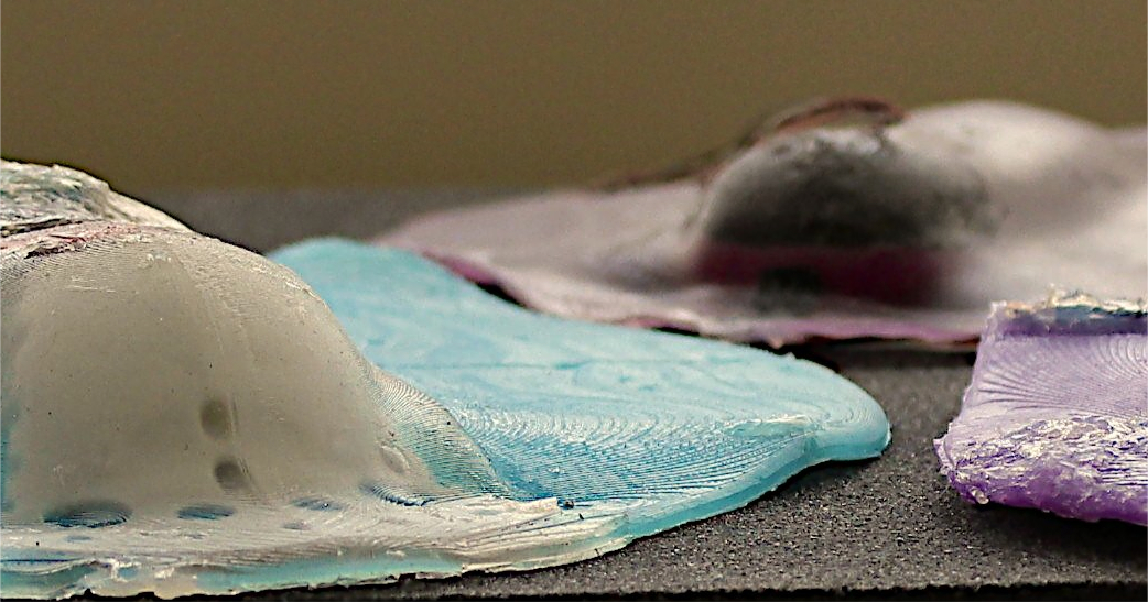 Soft batoids Pablo Valdivia y Alvarado