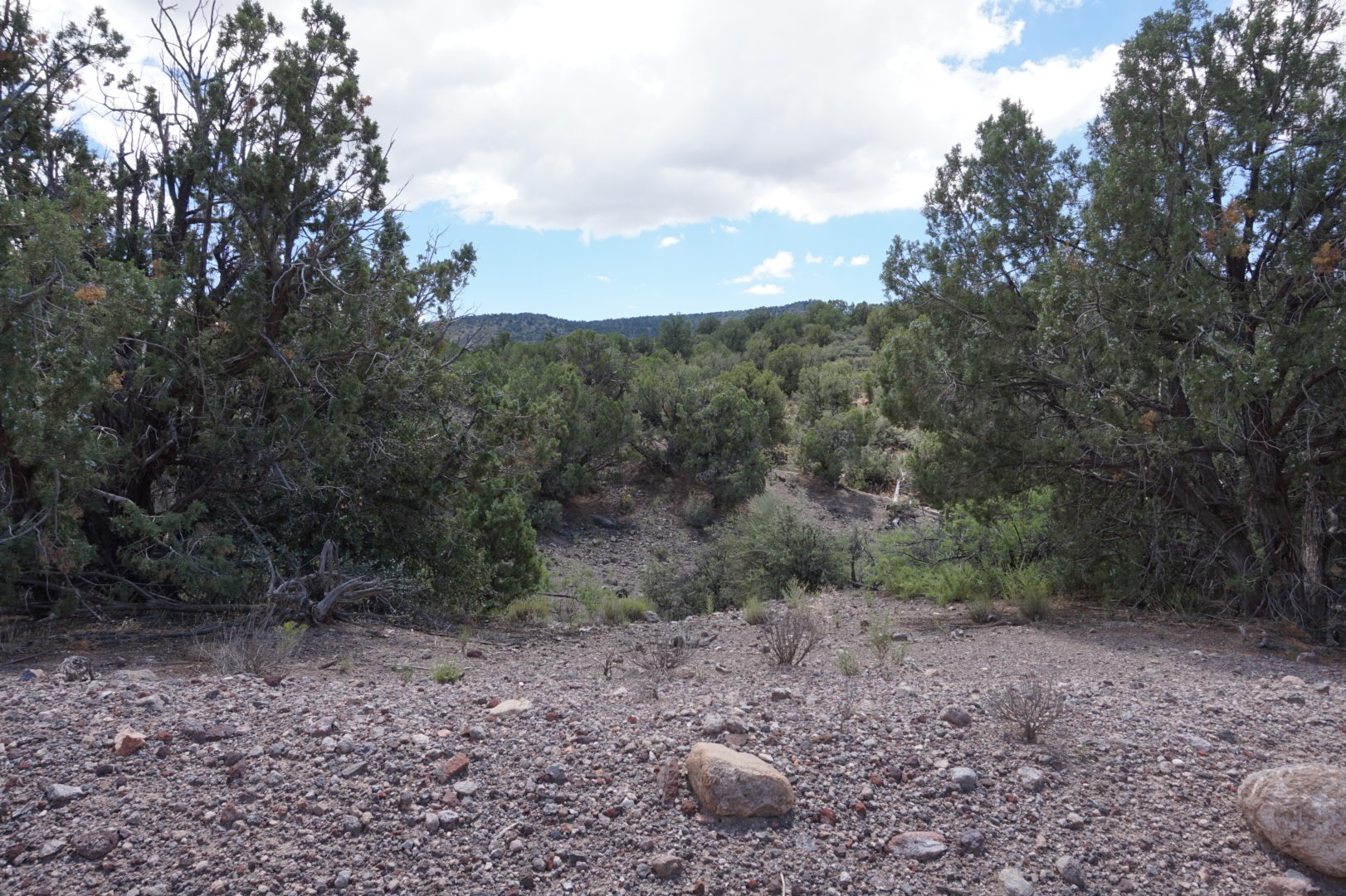 Mohave Archives Deed Ventures