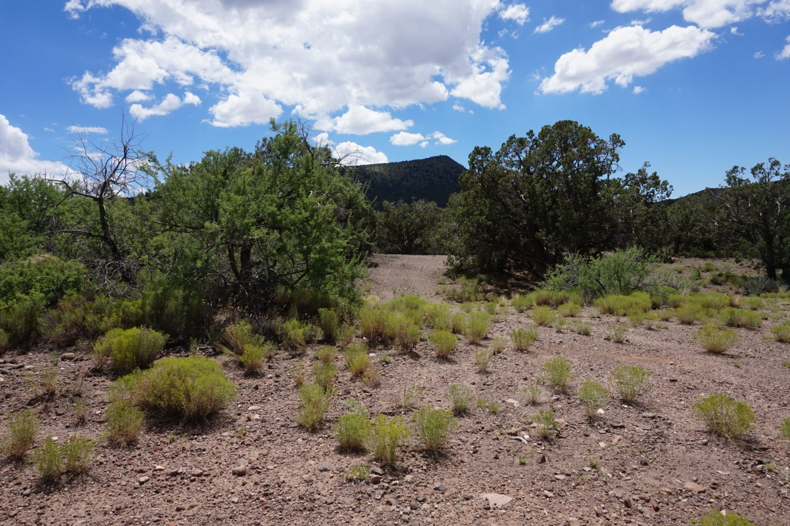 Mohave Archives Deed Ventures