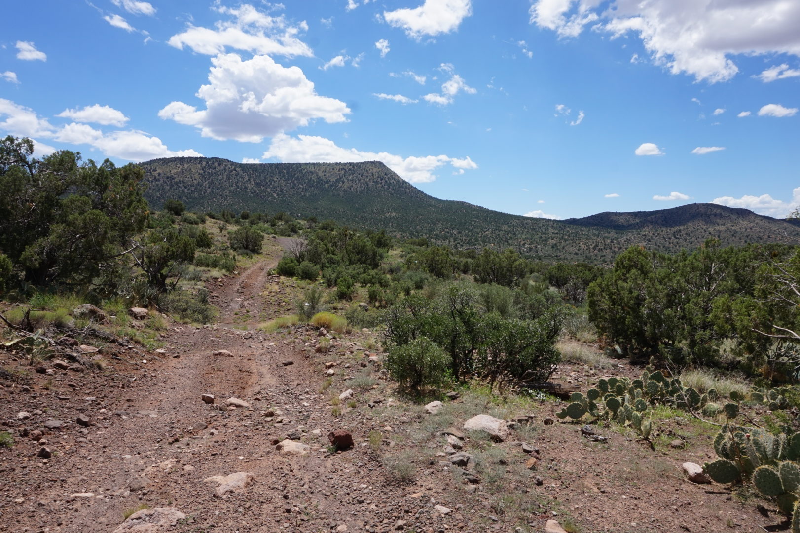 Mohave Archives Deed Ventures