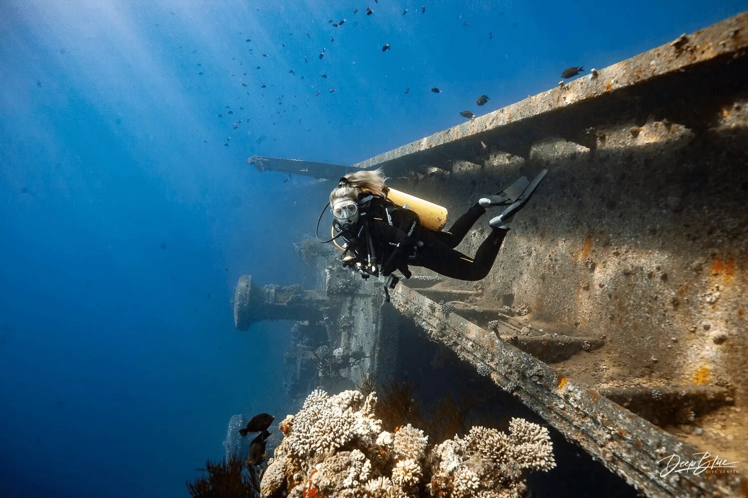 Tips for Beginner Divers A Comprehensive Guide to Preparing for Your