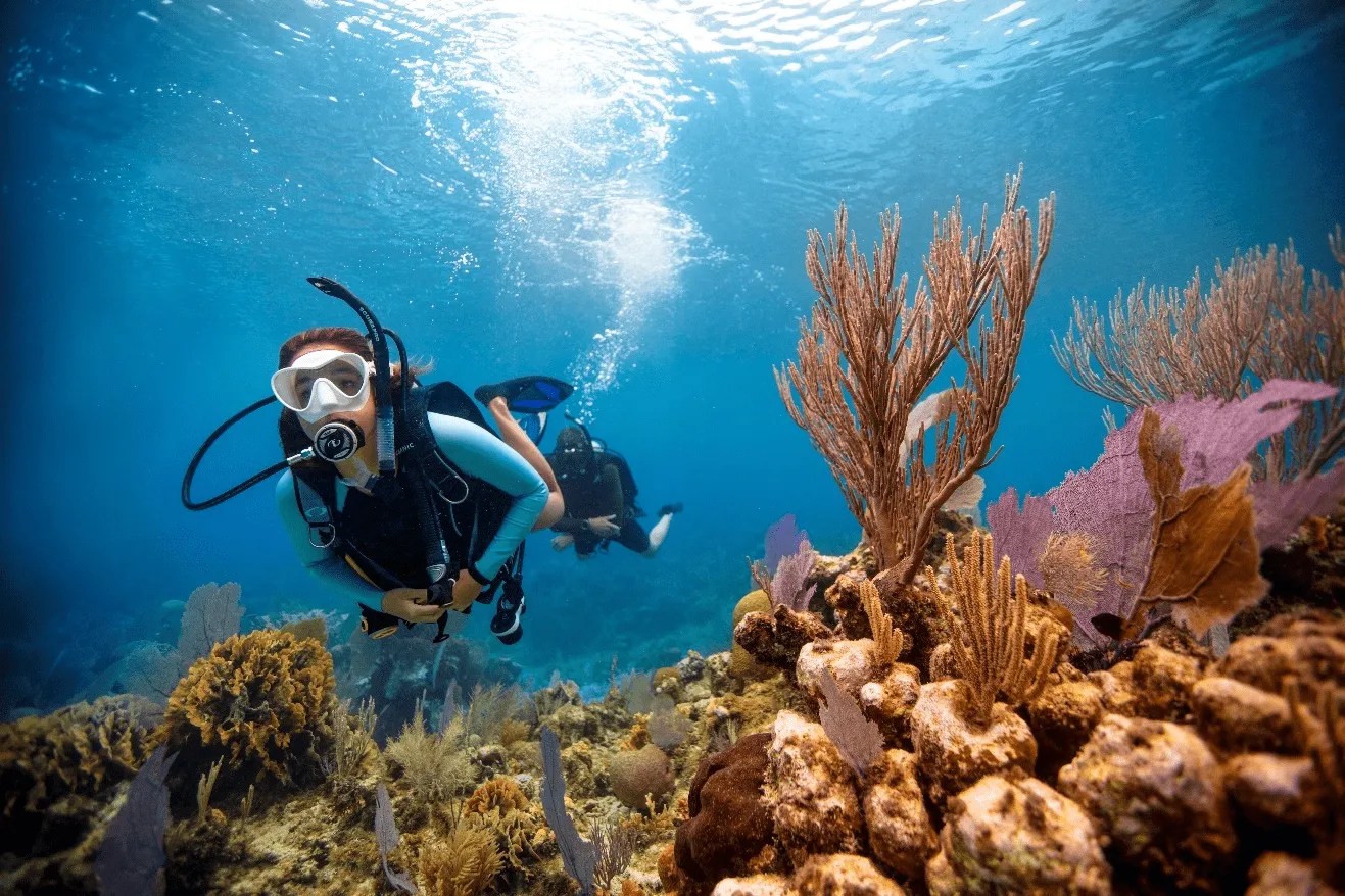 How to Prepare For Your First Scuba Diving Adventure Deep Blue Dive