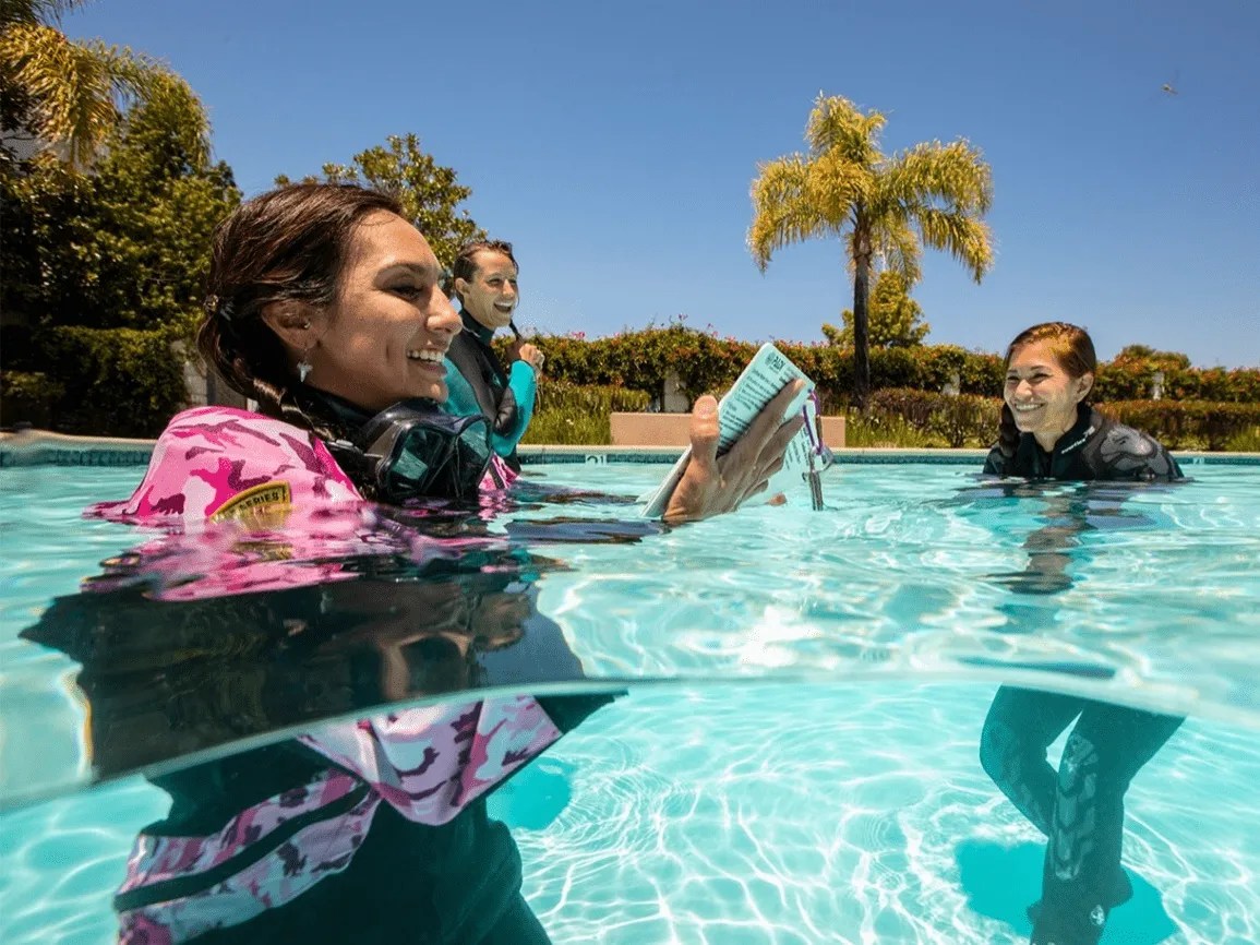 Scuba Diver Certification vs. Open Water Diver Understanding the