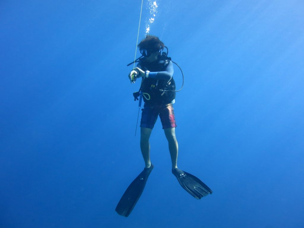 Tips For A Safe Ascent And Descent While Scuba Diving Scuba Diving Gear