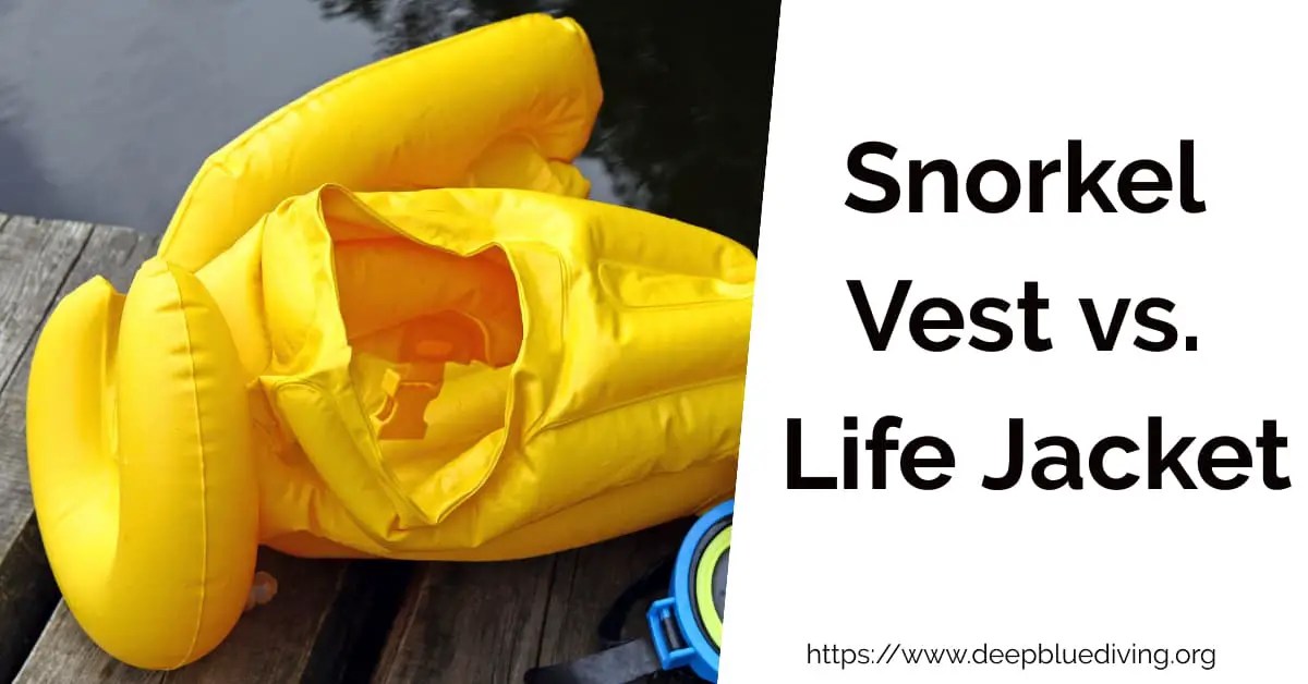 Snorkel Vest vs. Life Jacket Which is better for Snorkeling?