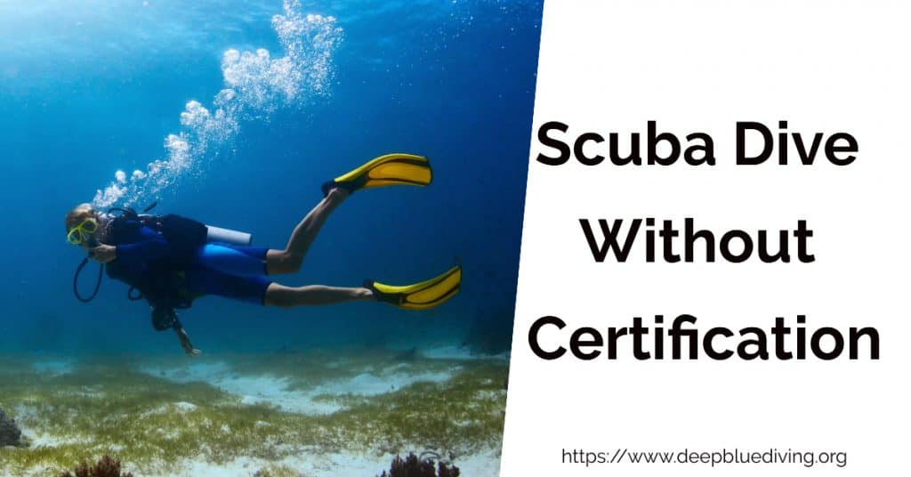 Scuba Dive Without Certification Are Diving Licenses Needed?
