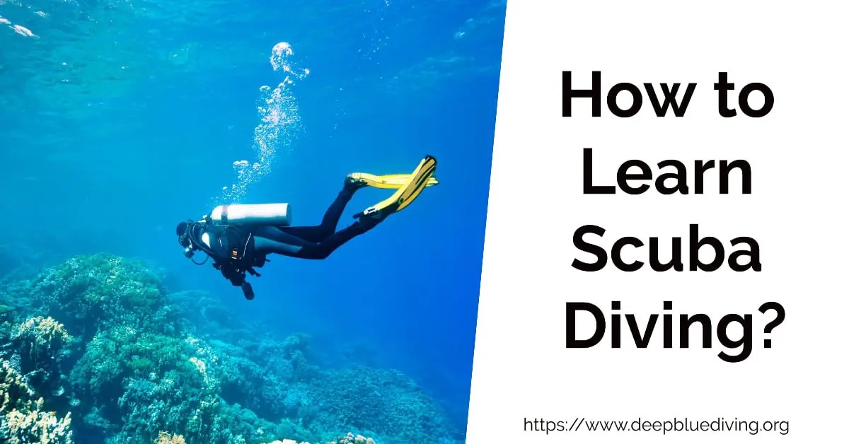How to Learn Scuba Diving A Beginner's Guide and Introduction