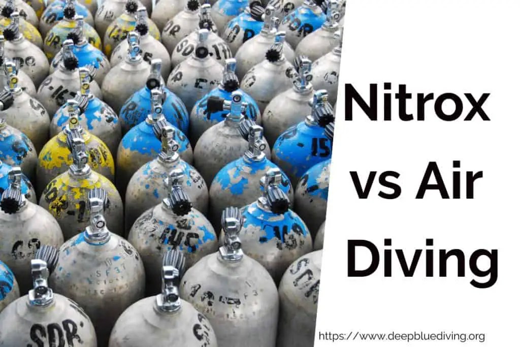 Nitrox vs Air Diving What you need to know! Scuba Diving Gear