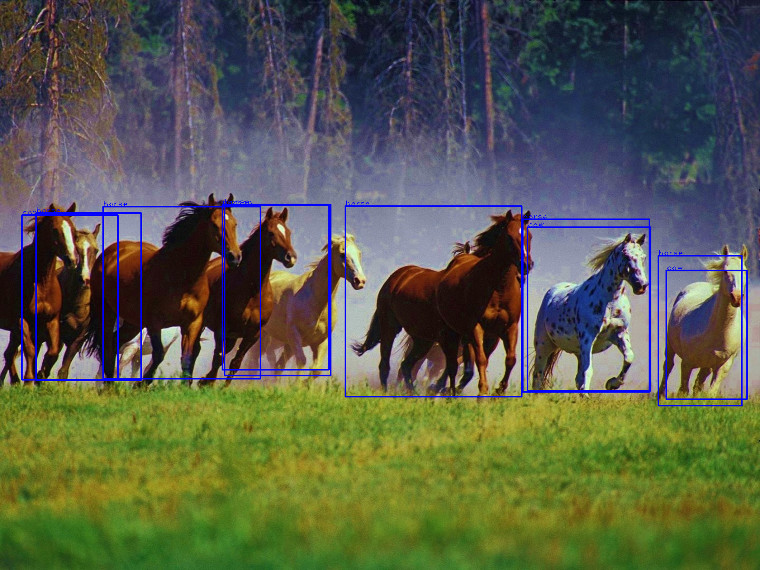 Setup of an object detector DeepDetect