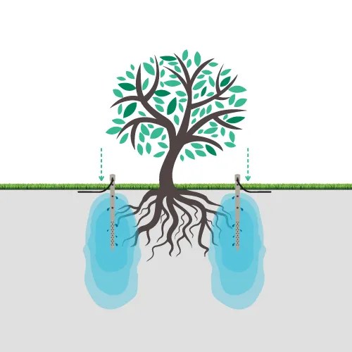 Installation DEEP DRIP Watering Stakes