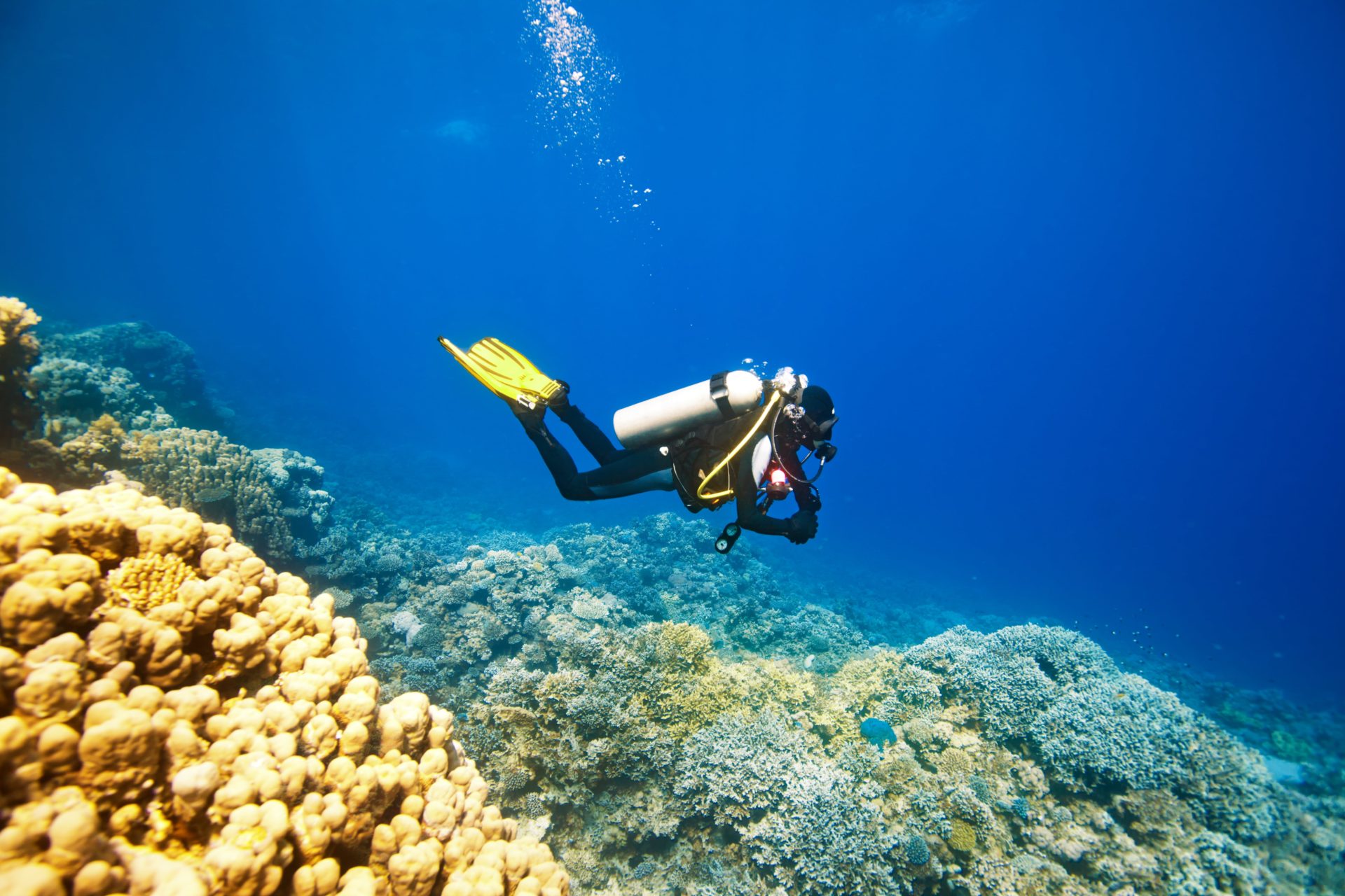 How To Conserve Air And Scuba Dive Longer