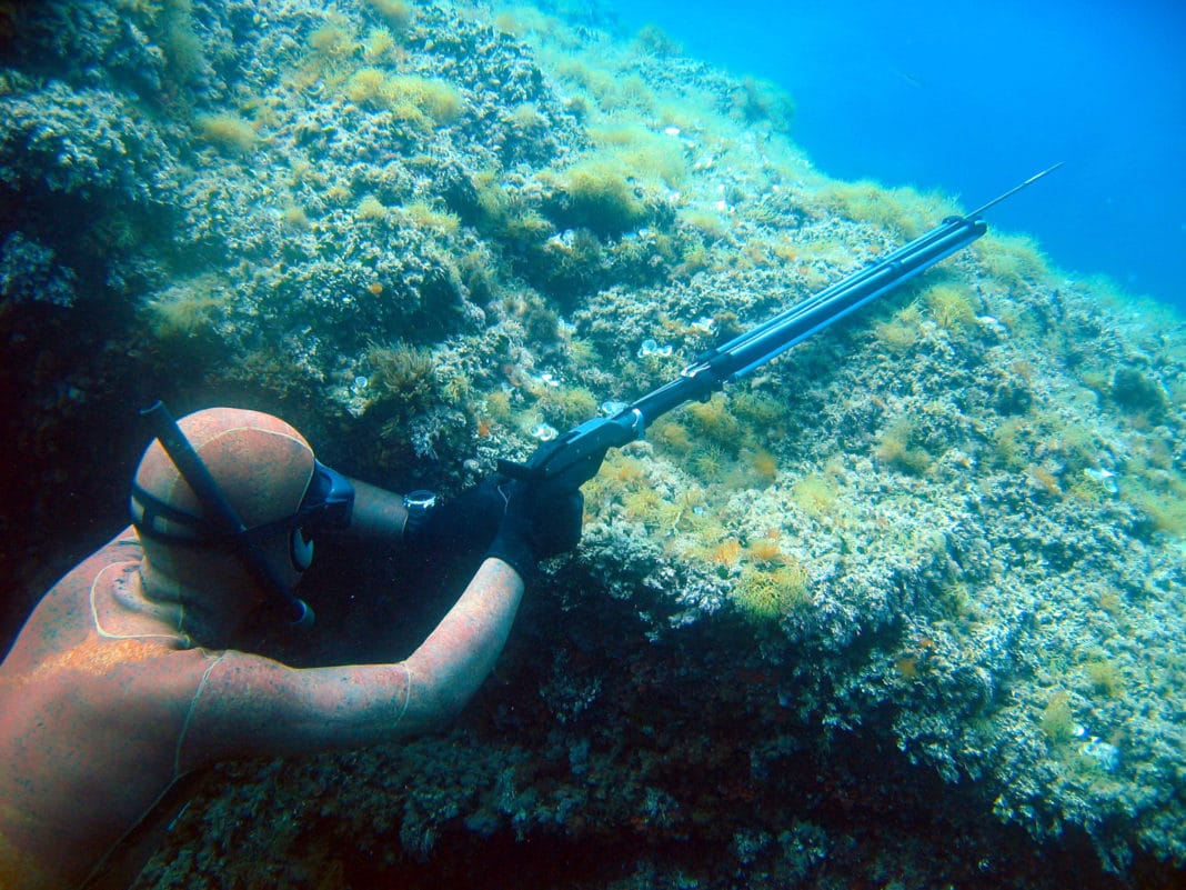 What Is Spearfishing