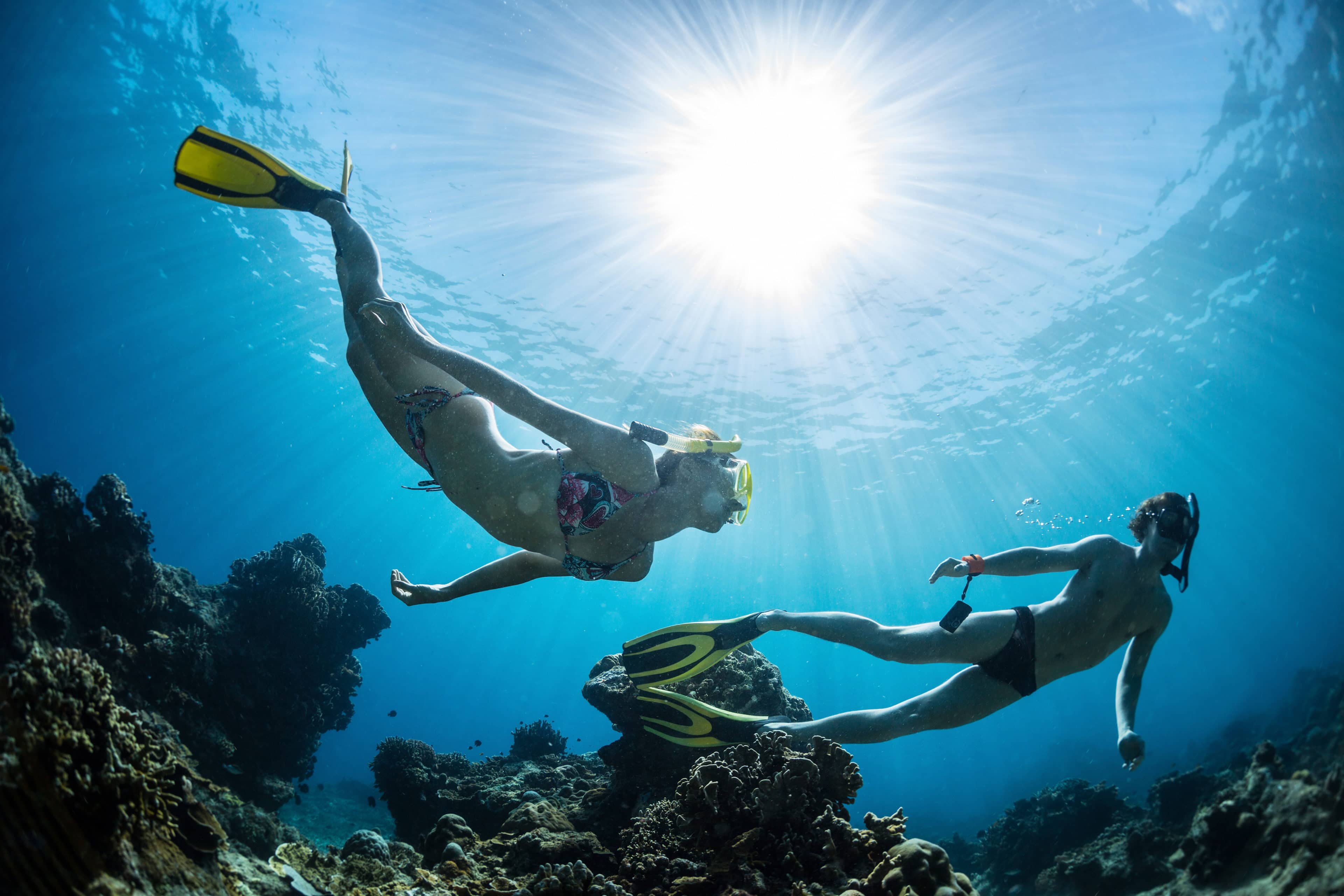 Snorkeling, Skin Diving, And Freediving What's The Difference?