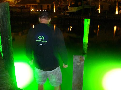 Underwater Dock Lights Attract the Fish Deep Glow Underwater Lighting