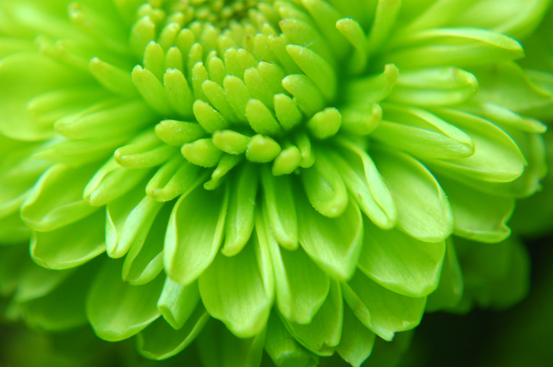 Since “works” is a cringeworthy word. I now use the word “daisies”…