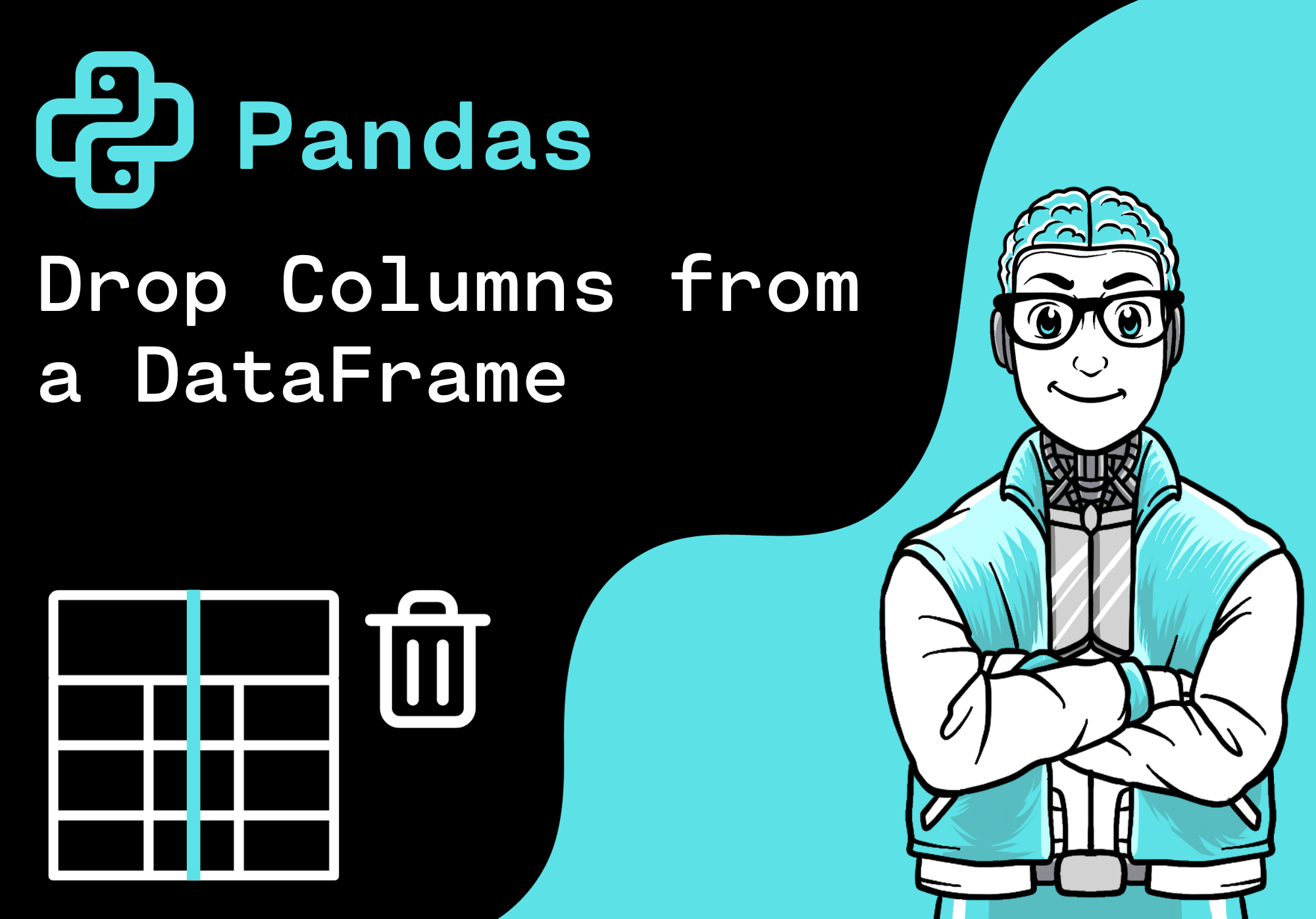 Pandas Drop Columns from a DataFrame