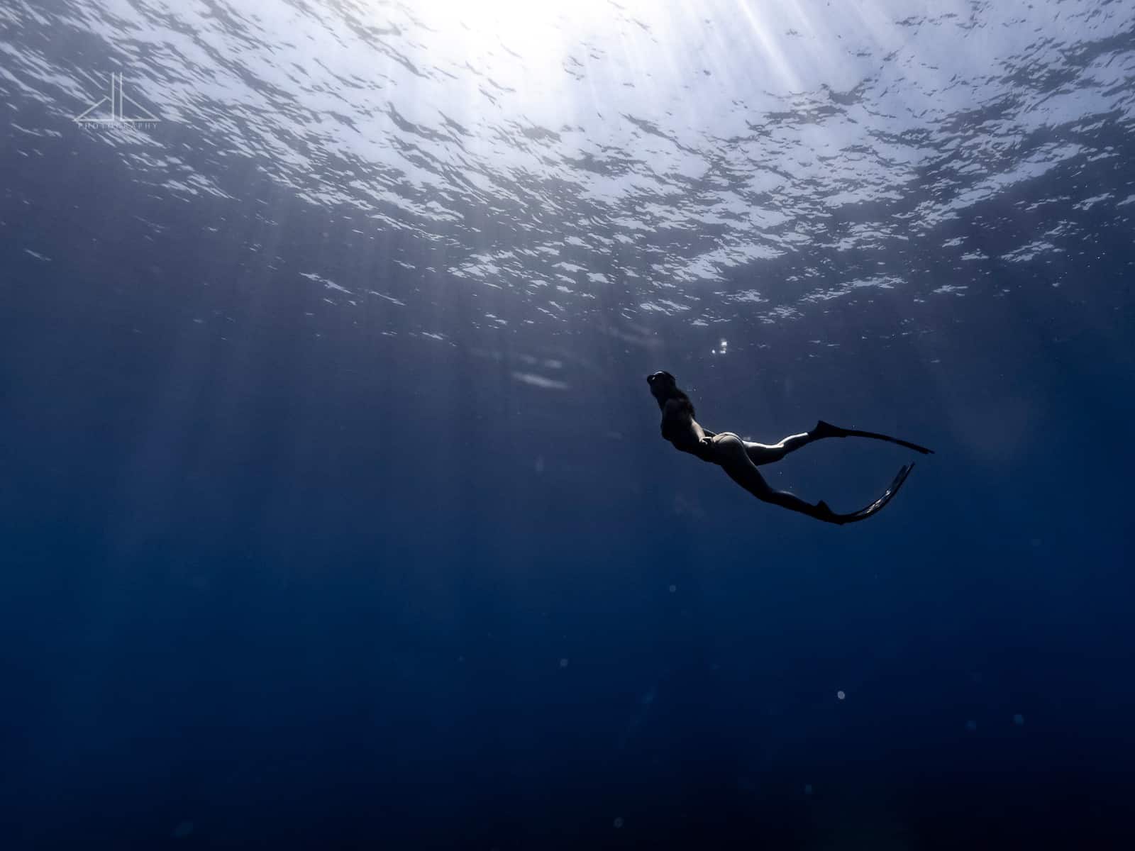 Learn how to freedive The ultimate guide to getting started in freediving