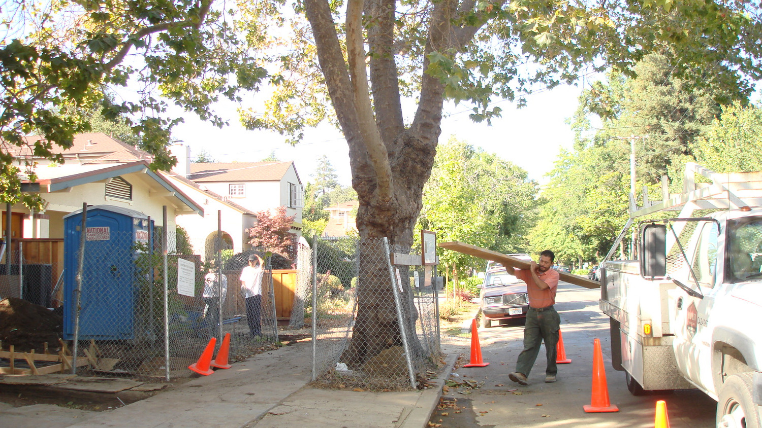Preserving Trees on a Development Site Contractor’s Best Practices