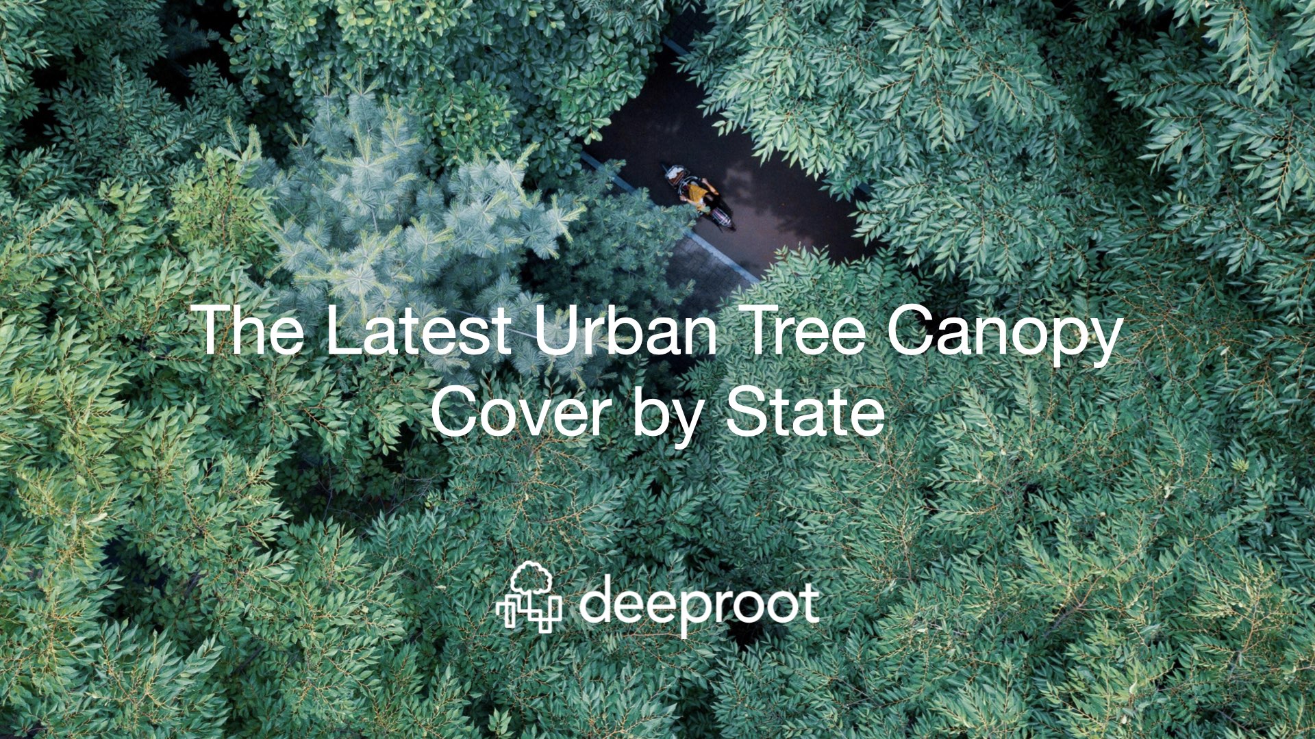 The Latest Urban Tree Canopy Cover by State DeepRoot Blog
