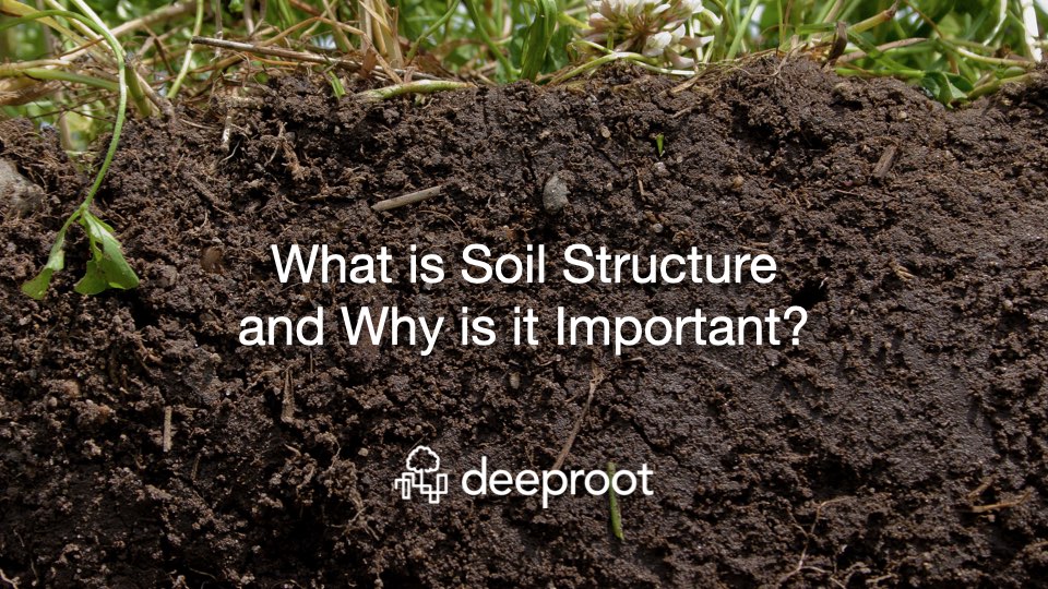 What is Soil Structure and Why is it Important? DeepRoot Blog