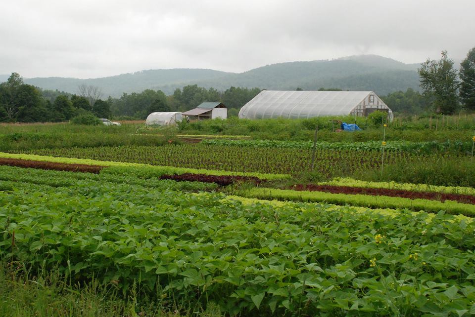 West Farm Deep Root Organic Coop