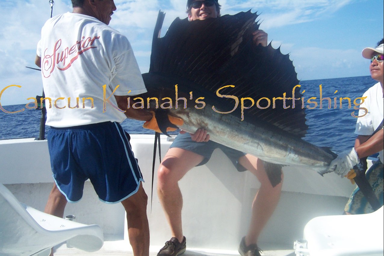 MAHI MAHI FISHING CANCUN Dolphin fish Dorado fishing IN CANCUN