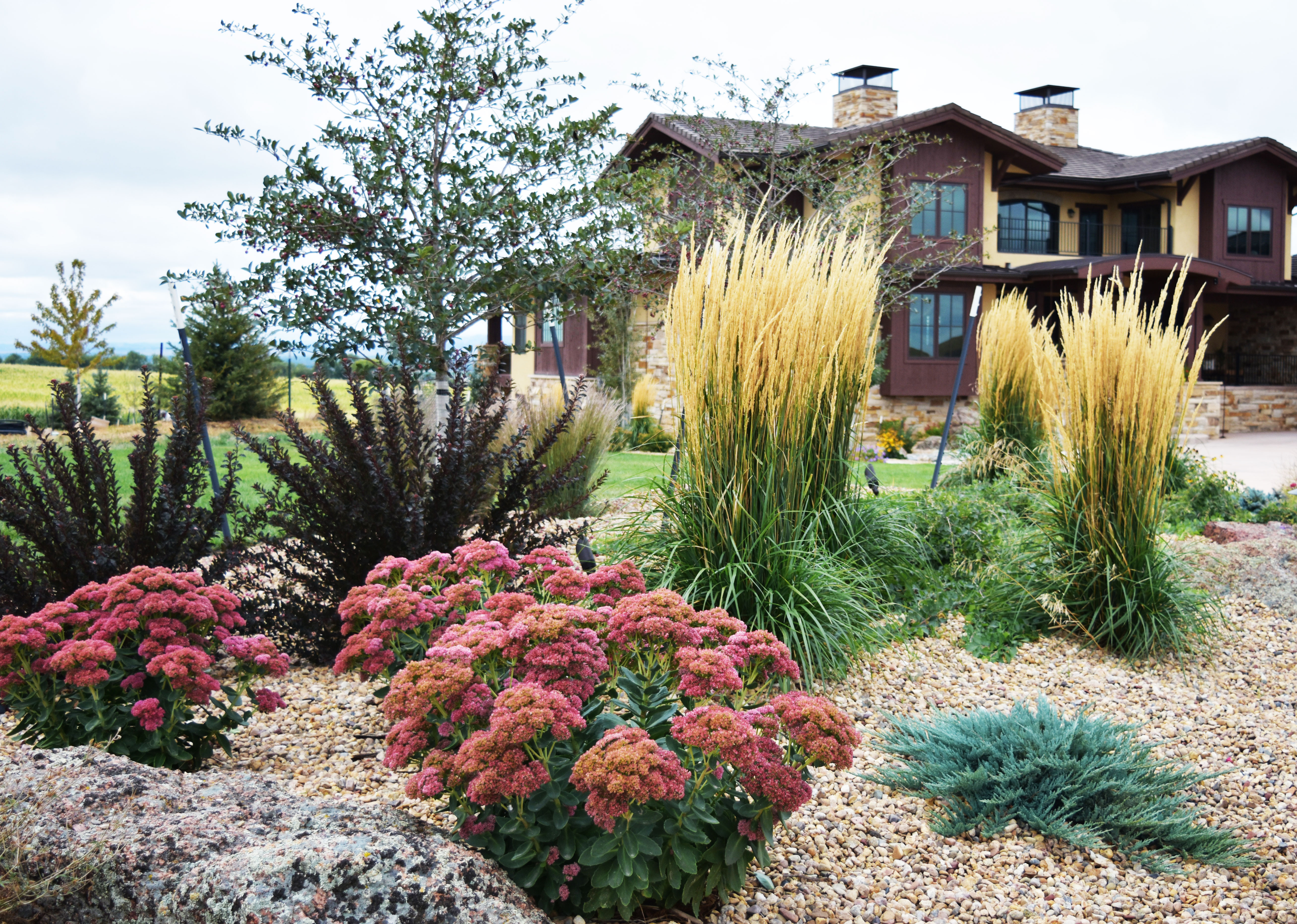 Backyard & Front Yard Landscaping Fort Collins CO Deep Seeded