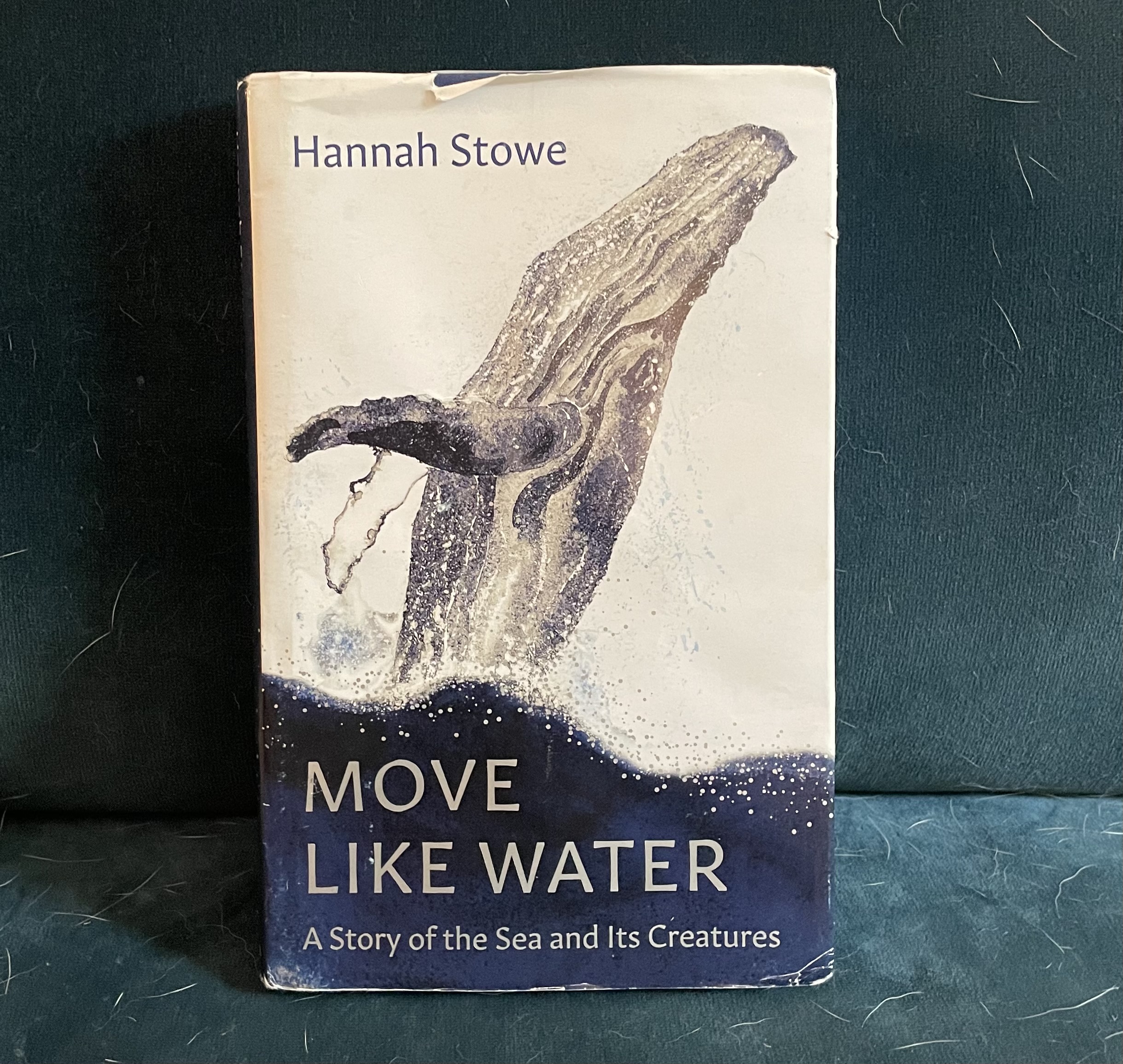 "Move Like Water Story of the Sea and Its Creatures" von Hannah Stowe