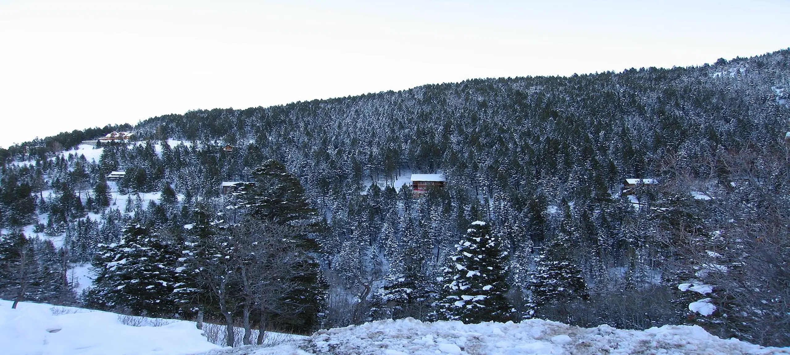 Summit Park Real Estate for Sale Homes & Land