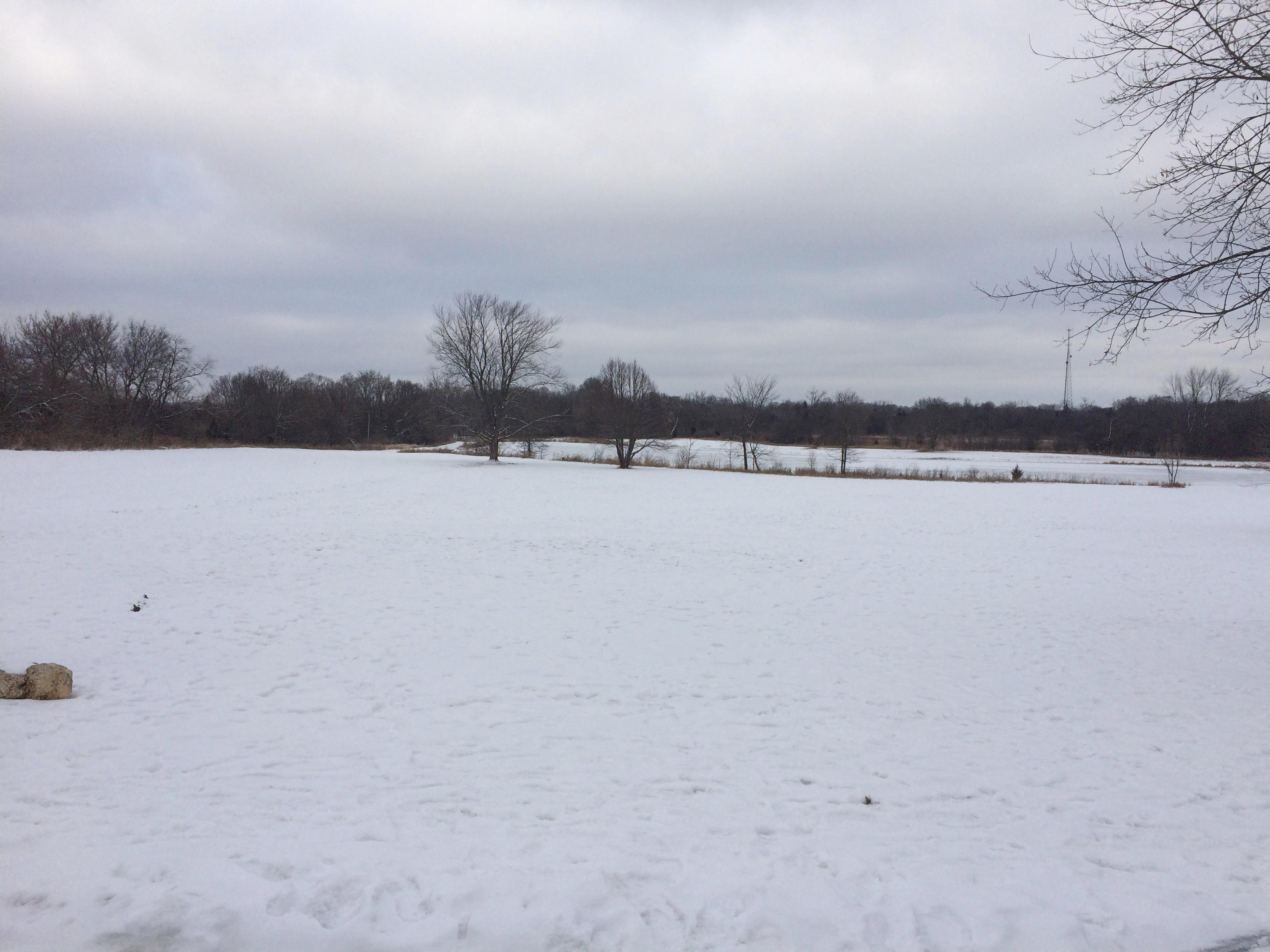 Poplar Creek, Winter ’21 Been There, Seen That