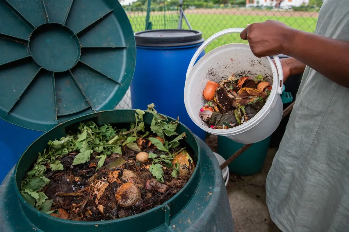New York Moves to Mandatory Residential Composting Sustainability