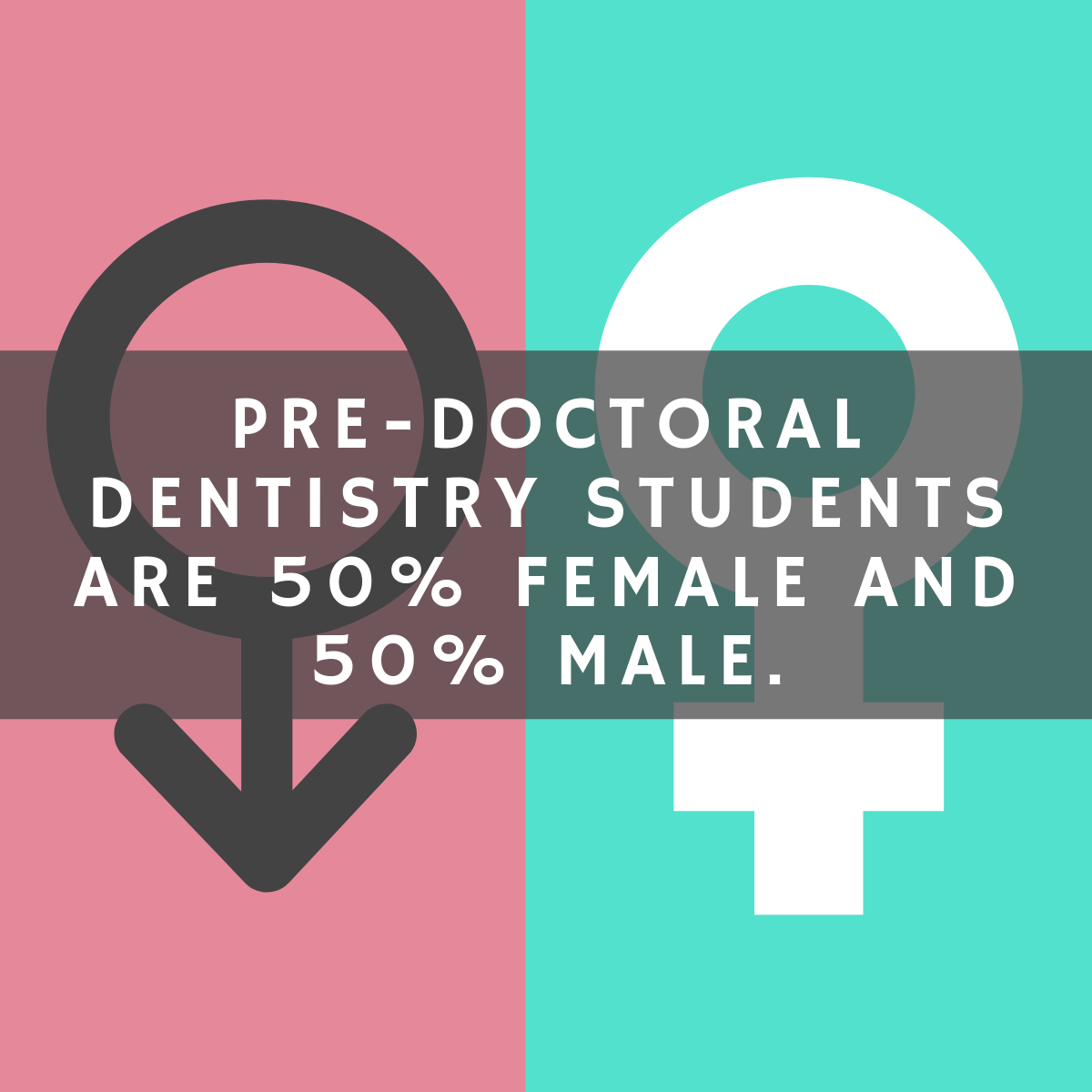 What Can I Do With a Dentistry Degree?