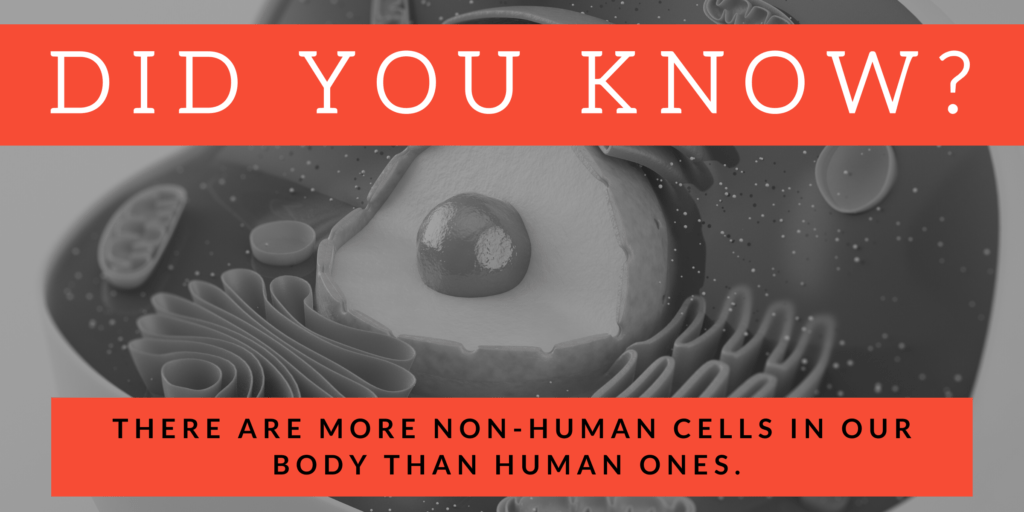 Highest Paying Jobs With a Biology Degree Degrees in Biology Majors