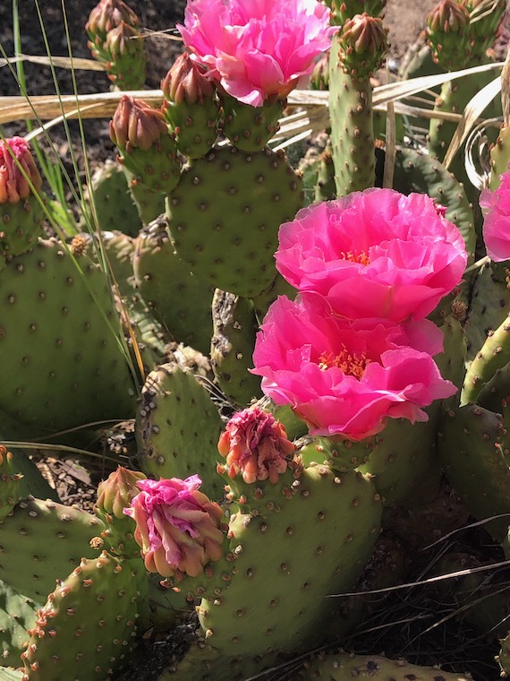 Are you born good, bad, or just innocent? • Eve Out of the Garden