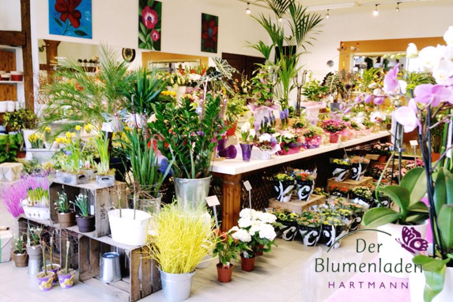 Blumenladen Marienburger Straße 8 Über Blumen