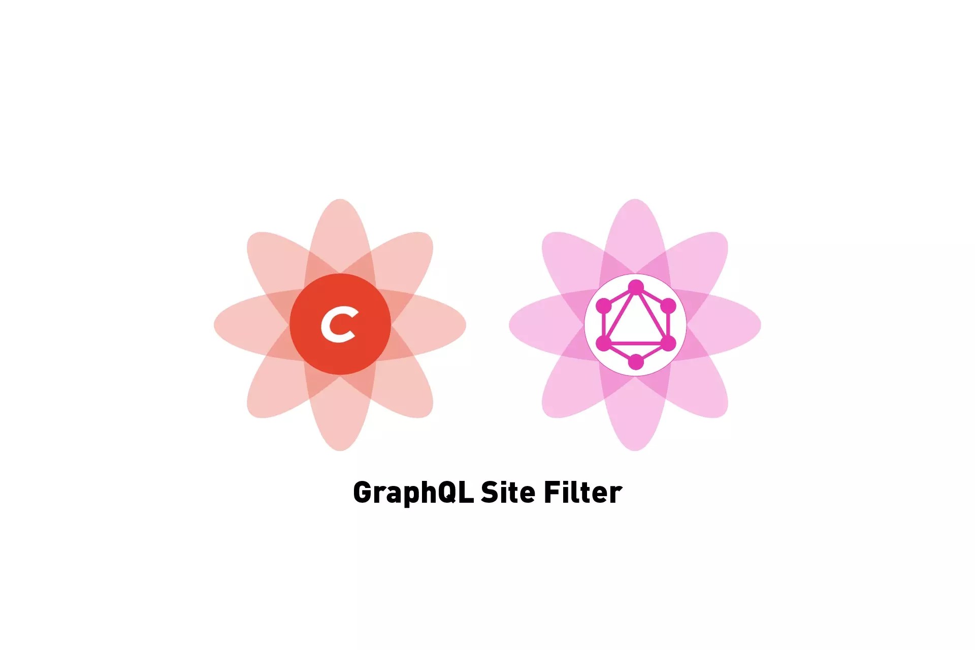 How to filter for a Craft CMS site in a GraphQL Query