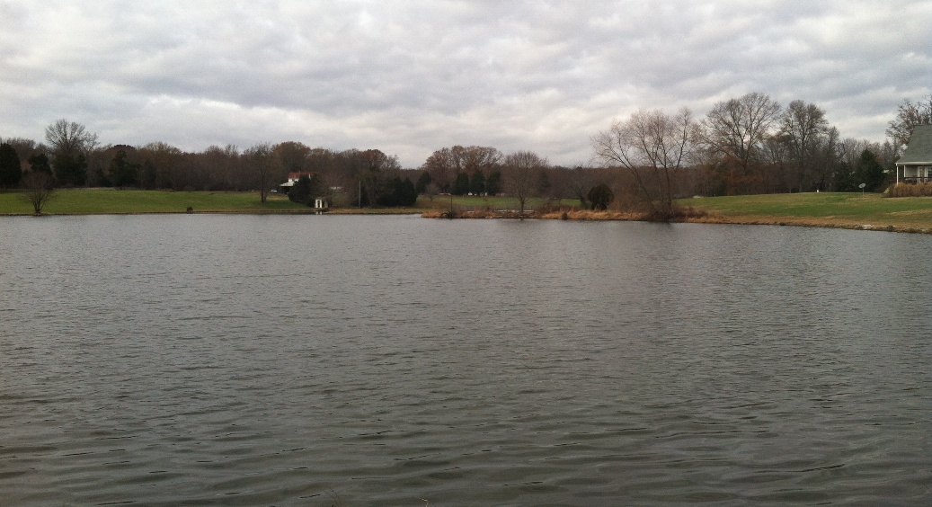 Green Acres Property