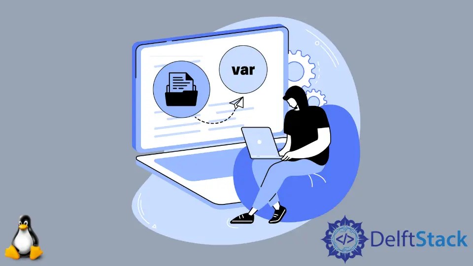 How to Read File Into Variable in Bash Delft Stack