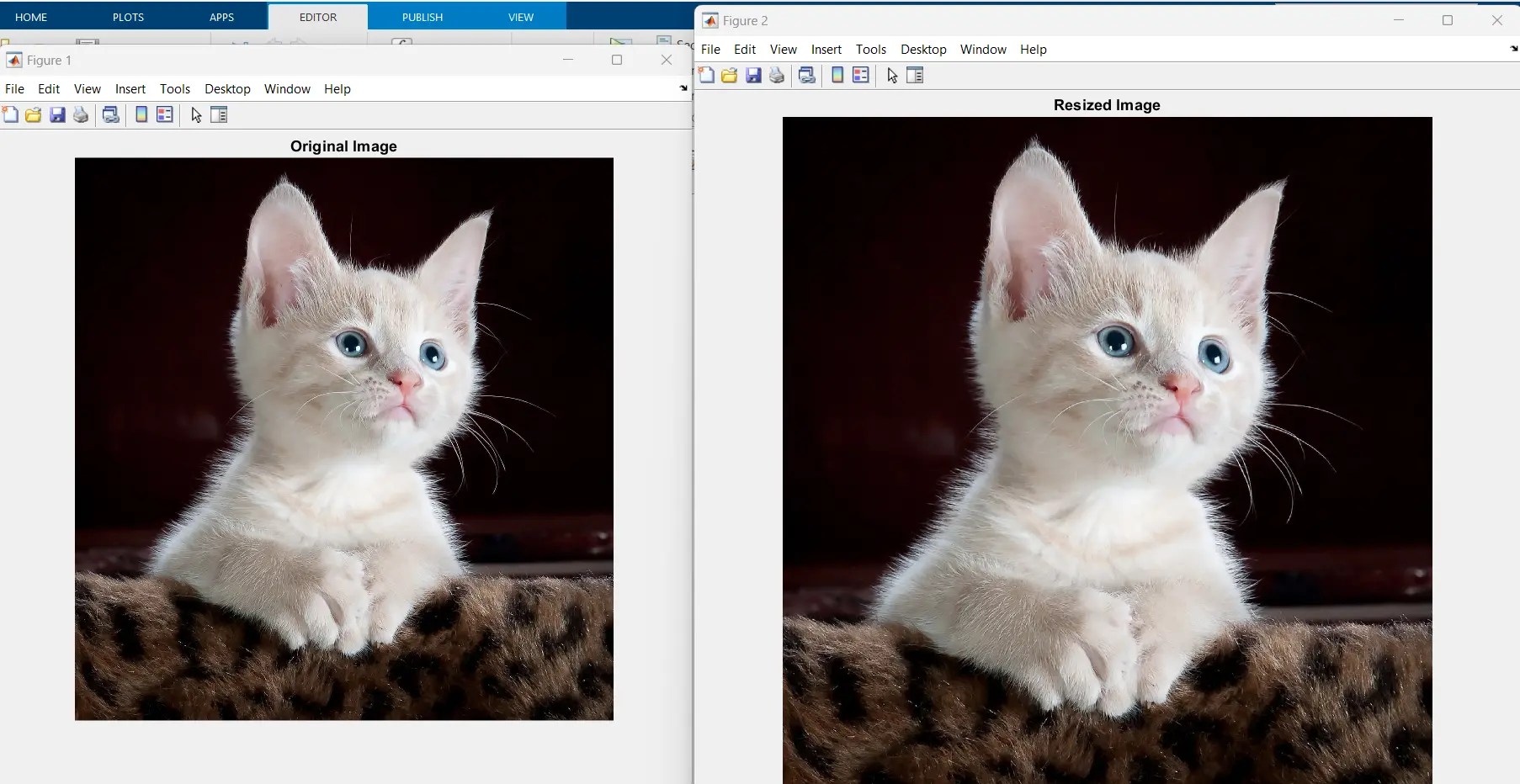 How to Resize Image in MATLAB Delft Stack