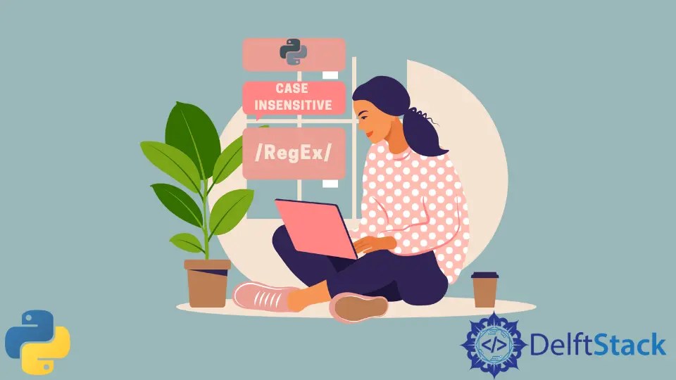 Case Insensitive Regex in Python Delft Stack