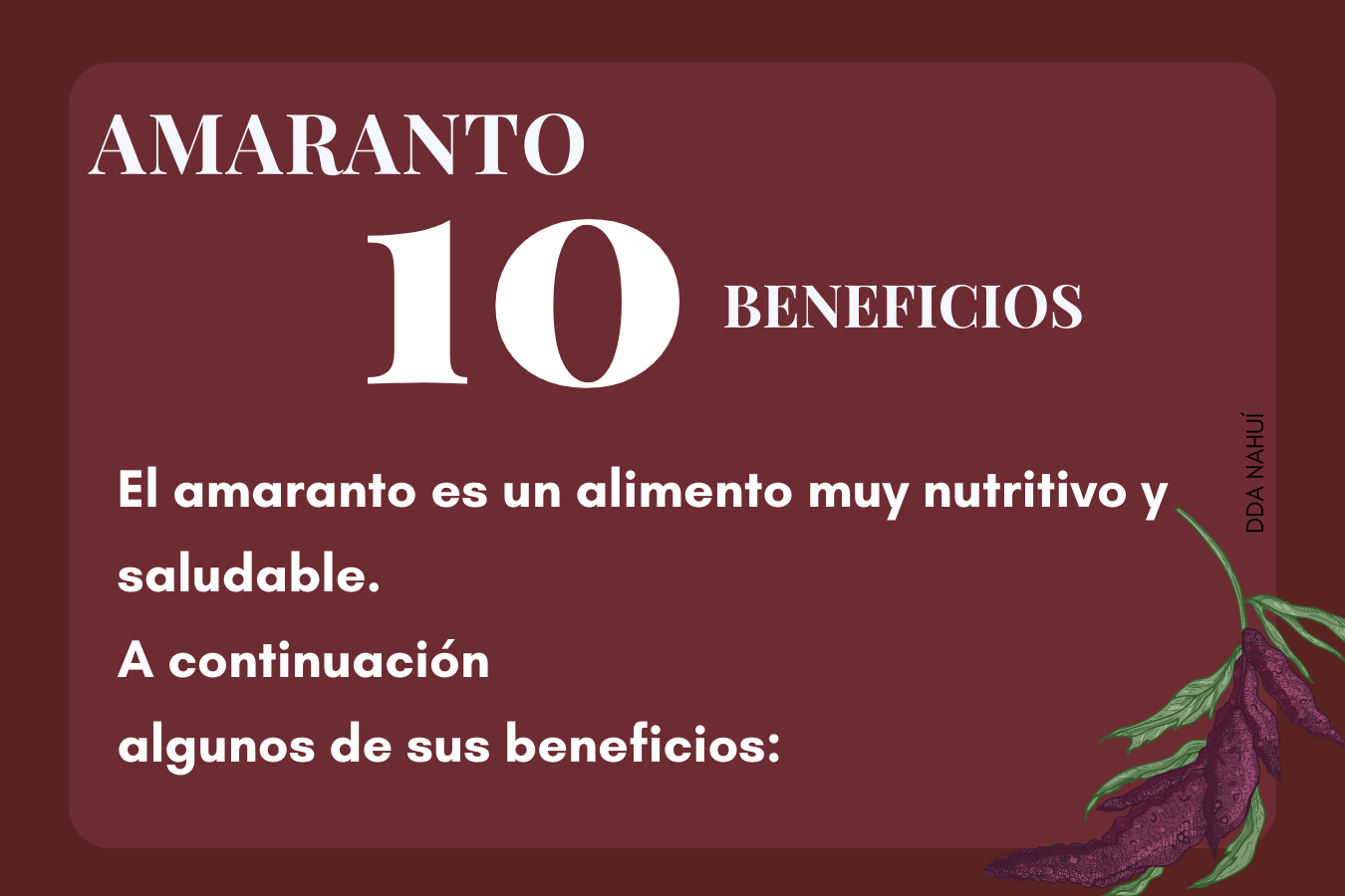 Beneficios del amaranto Delicias de amaranto Nahuí