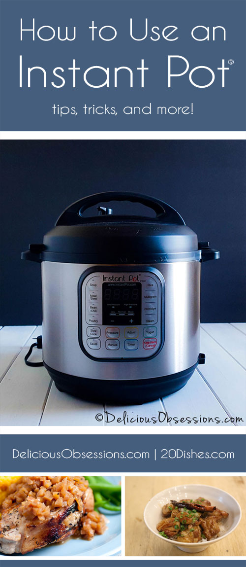 How to Use an Instant Pot Delicious Obsessions and 20 Dishes