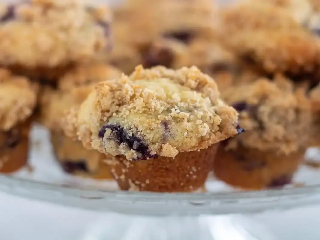 46 Muffin Recipes Delish Knowledge