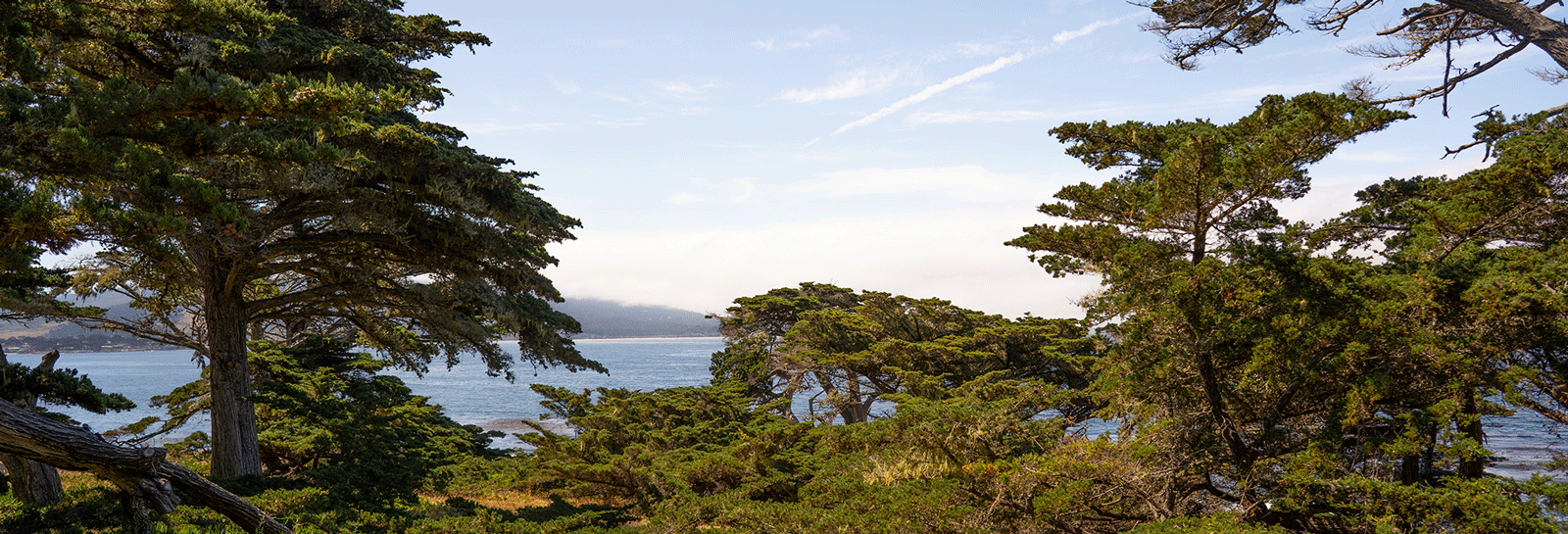 Properties Del Monte Forest Conservancy