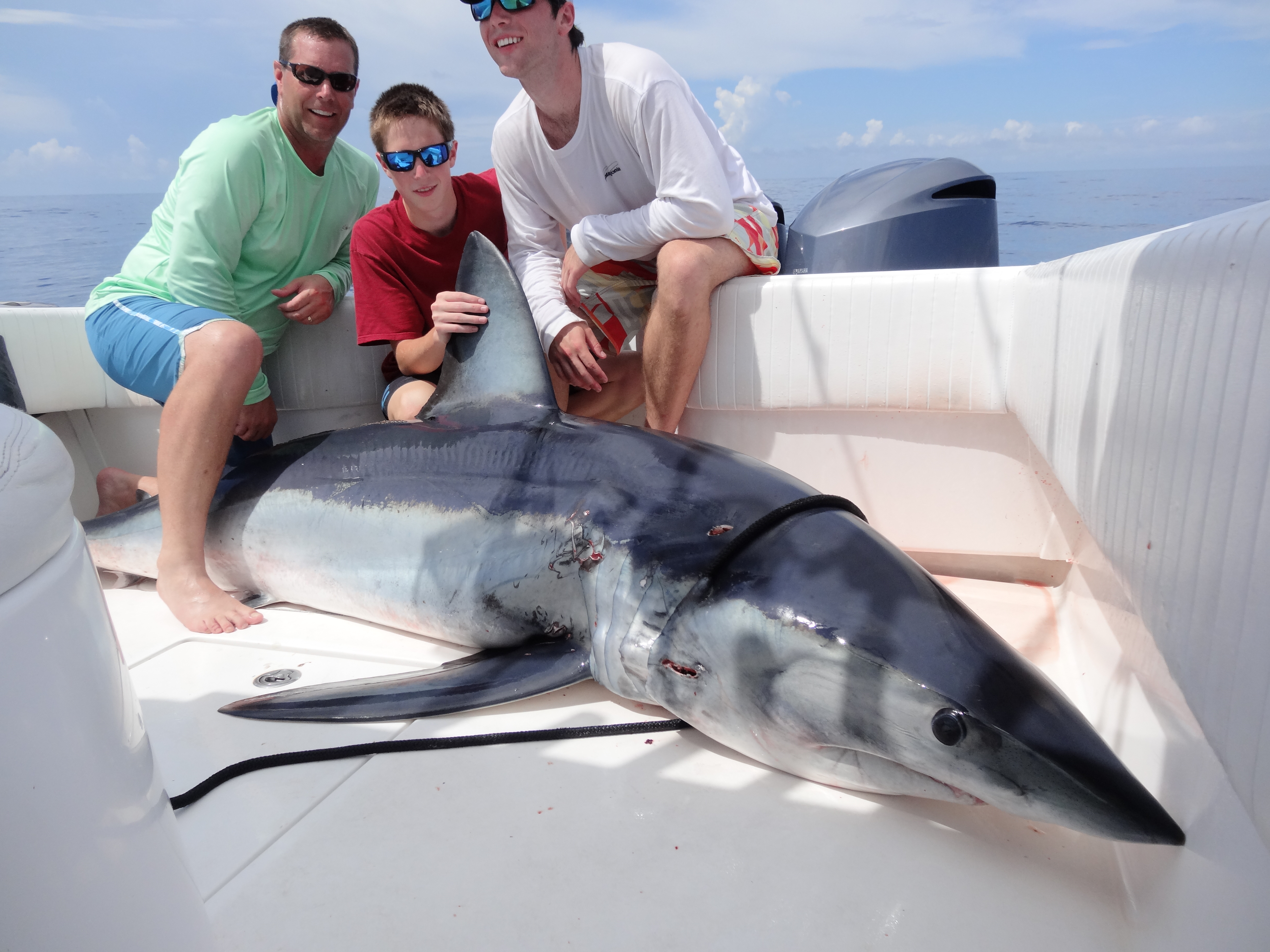 Shark Fishing in Key West Florida with Delph Fishing Charters