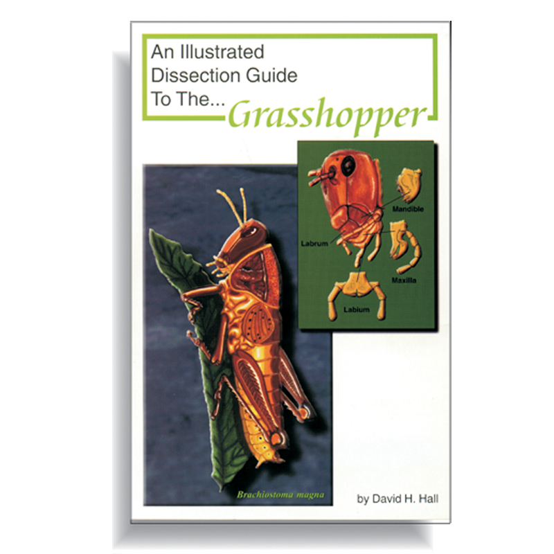 Dissection Guide
