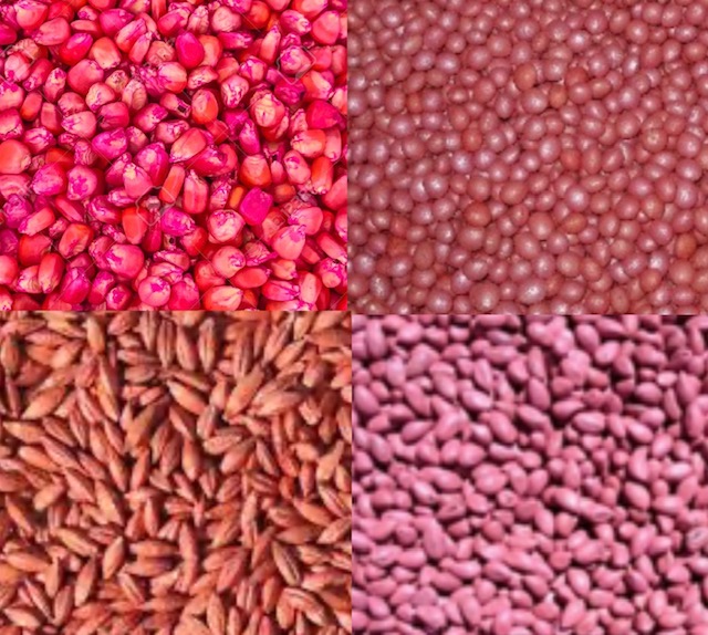 Seed Treatments Delta Growers