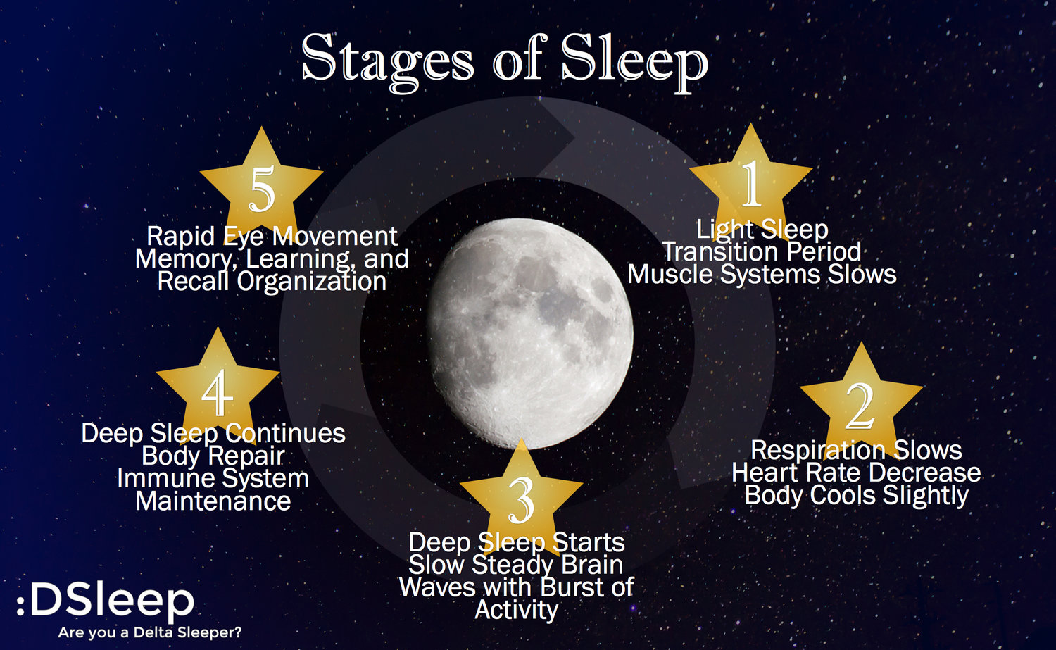 Maximize Your Sleep Stages Of Sleep and the SR1 by SomniResonance®